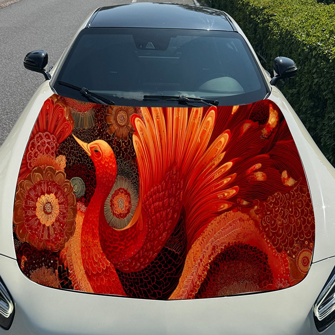 Legal vermelho phoenix capô do - Car Accessories Phoenix avaliação e preço